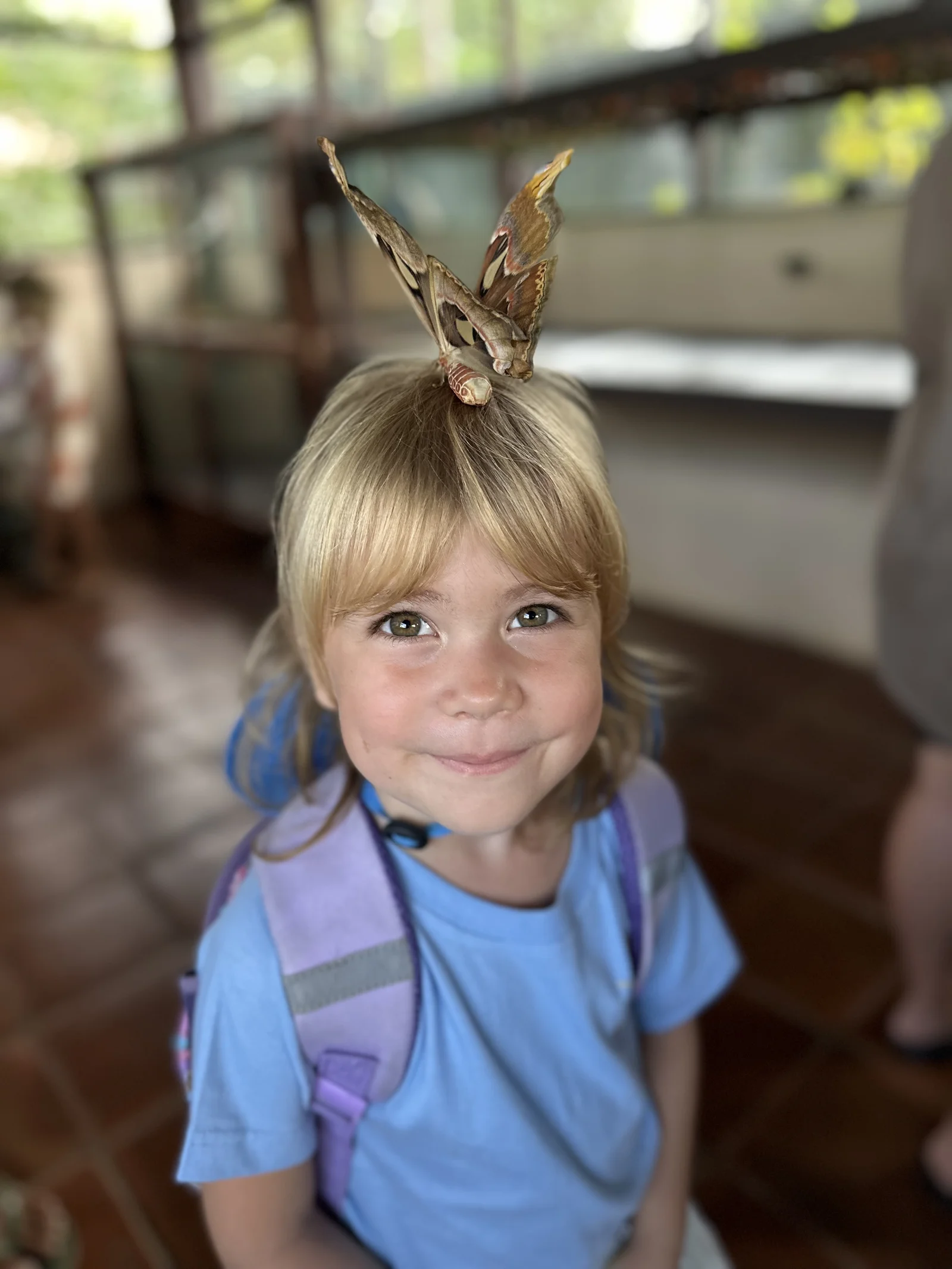 Sunny Kids Moment 41